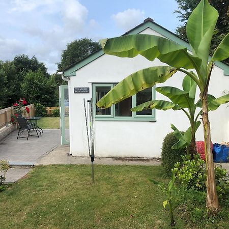 Sycamore Bungalow Perranwell Zewnętrze zdjęcie
